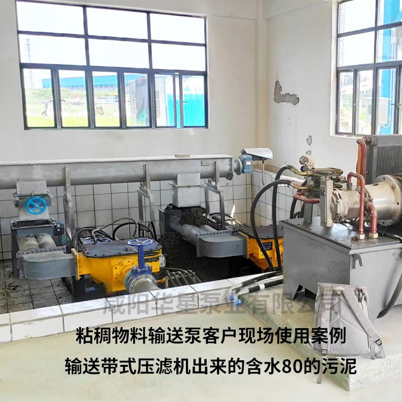 粘稠物料輸送泵客戶案例1